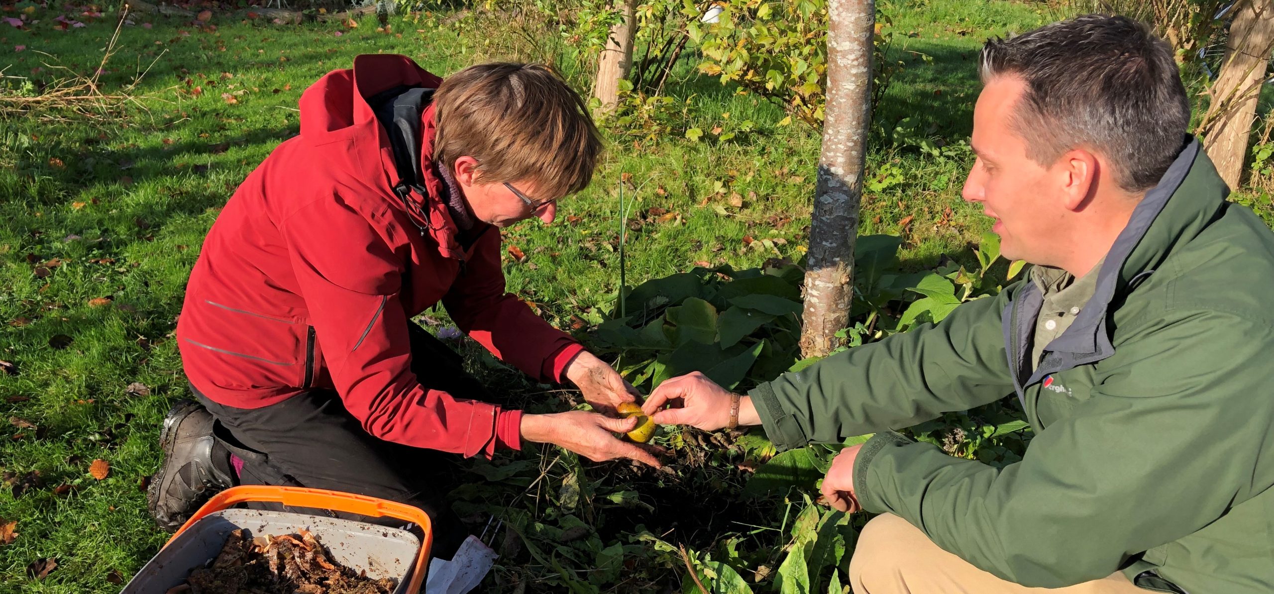 Hoe Verwerk Je Bokashi In De Moestuin Agriton Home Garden