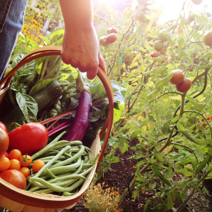 Woman holding a basket filled with vegetables